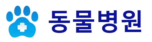 웹사이트 24