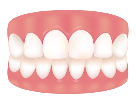 치아 이미지 9