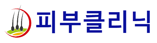 웹사이트 24